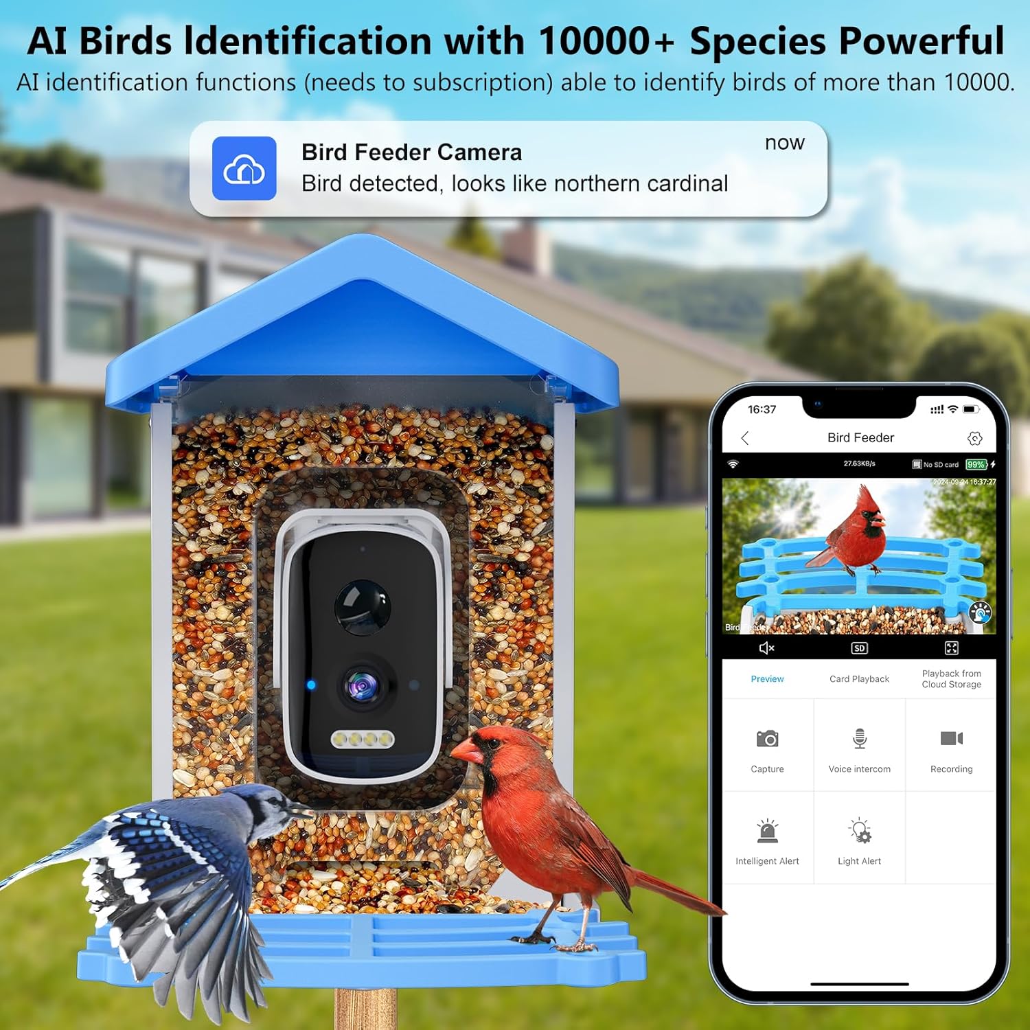 Smart Bird Feeder with Camera  - огляд і ціна Smart Garden Ai