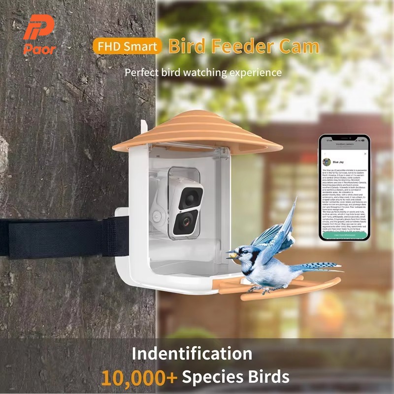 2L IP66 AI Smart Bird Feeder W - огляд і ціна Smart Garden Ai