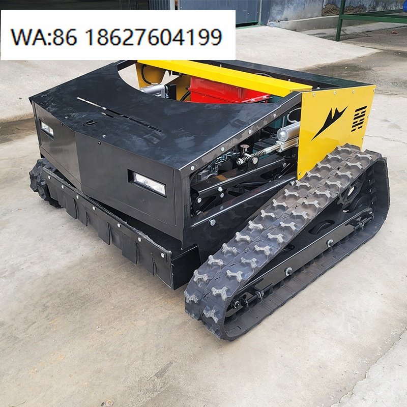 800mm Width Automatic Lawn Mow - огляд і ціна Smart Garden Ai