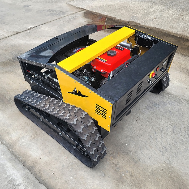 800mm Width Automatic Lawn Mow - огляд і ціна Smart Garden Ai