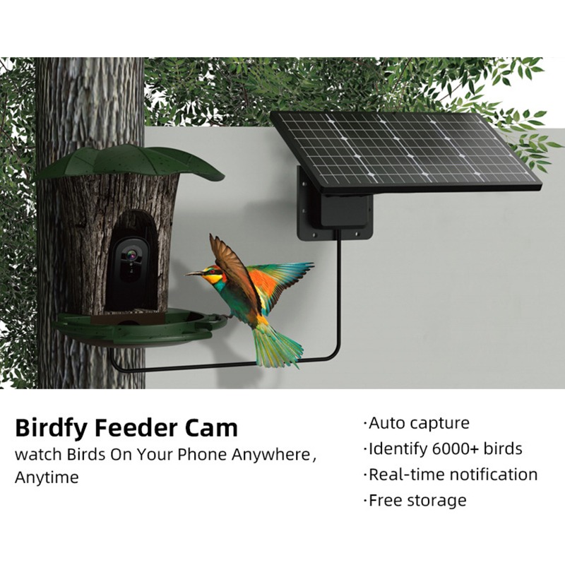 Solar AI Smart Bird Feeder Bir - огляд і ціна Smart Garden Ai